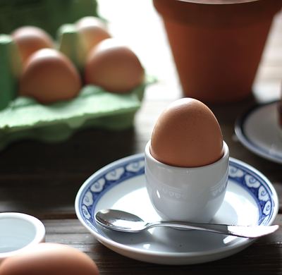 HOW TO COOK A HARD BOILED EGG